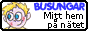 Busungar