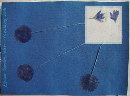 040326-blueentry.jpg